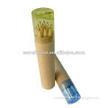 Kraft tube package hb pencil